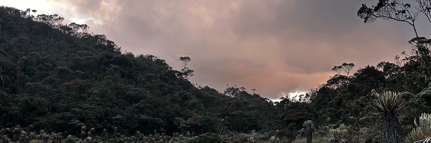 ncbdhfysk's profile banner image