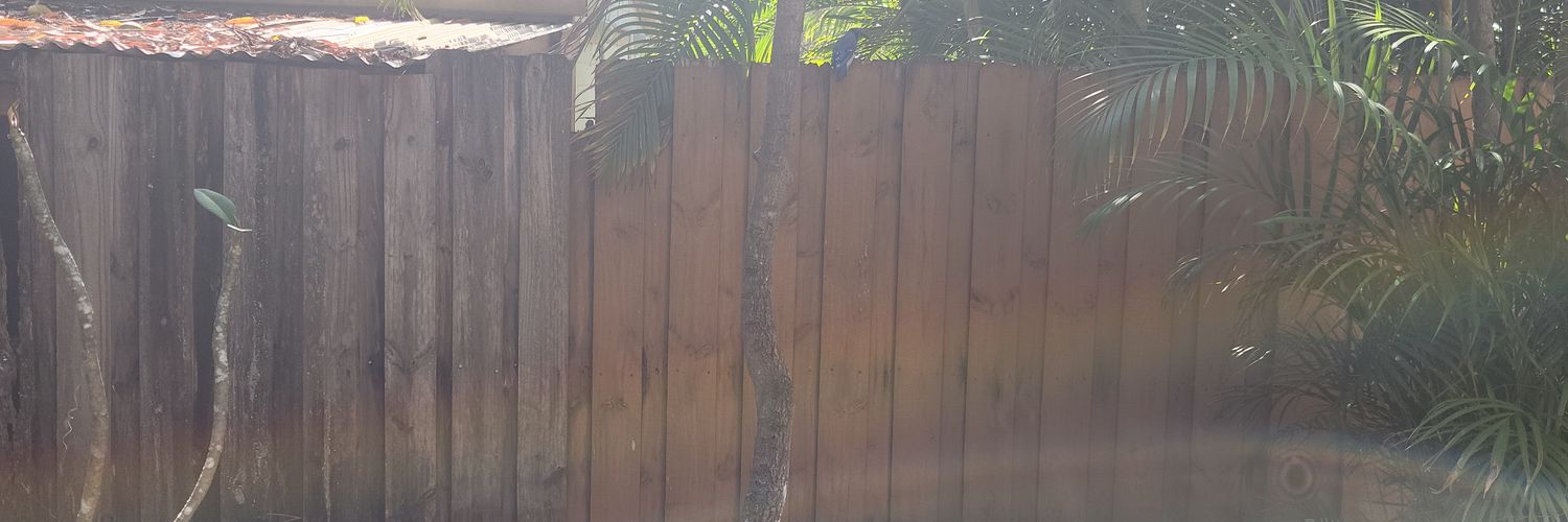weirdbeardqueef's profile banner image