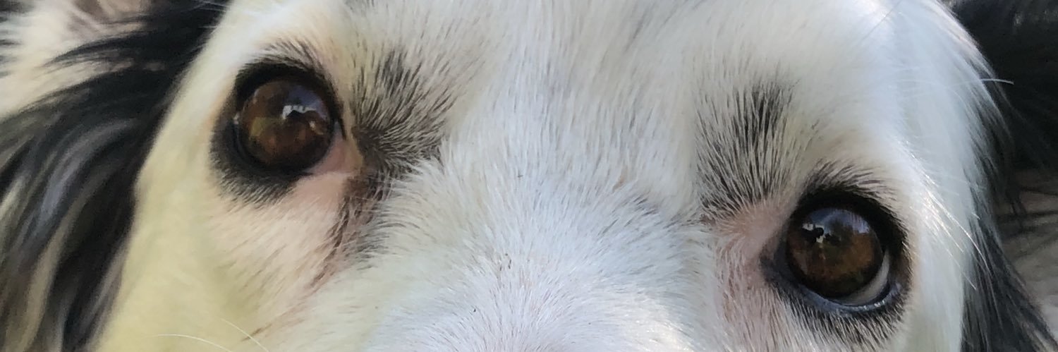 rbdoigg's profile banner image