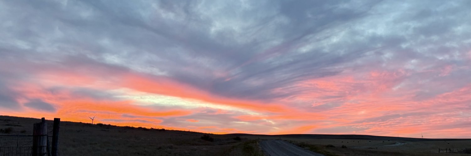 Traci Glasscock banner