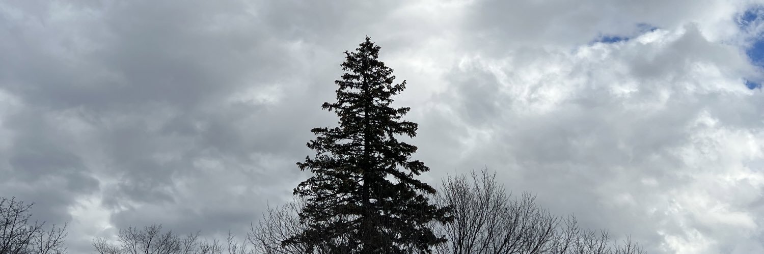 KyleeMChappell's profile banner image