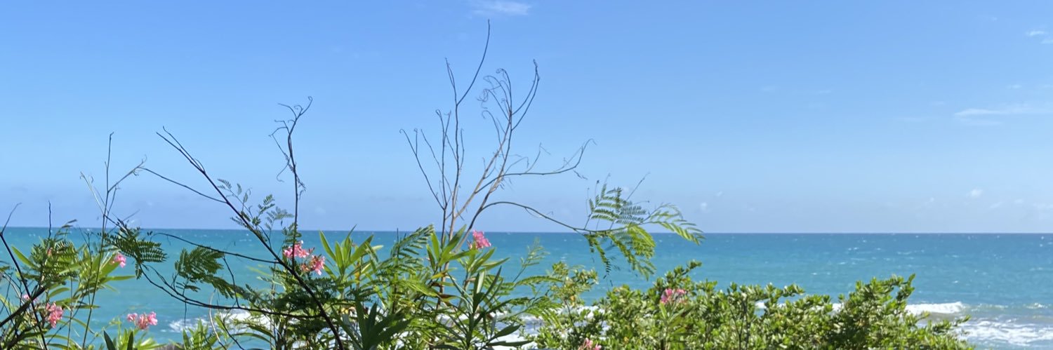 britchungg's profile banner image