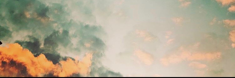 MilkWindowlight's profile banner image