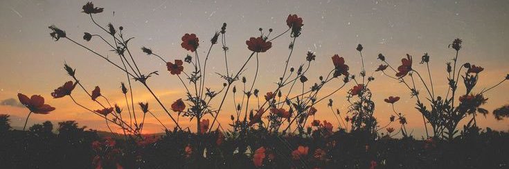 Enkhgerel13's profile banner image
