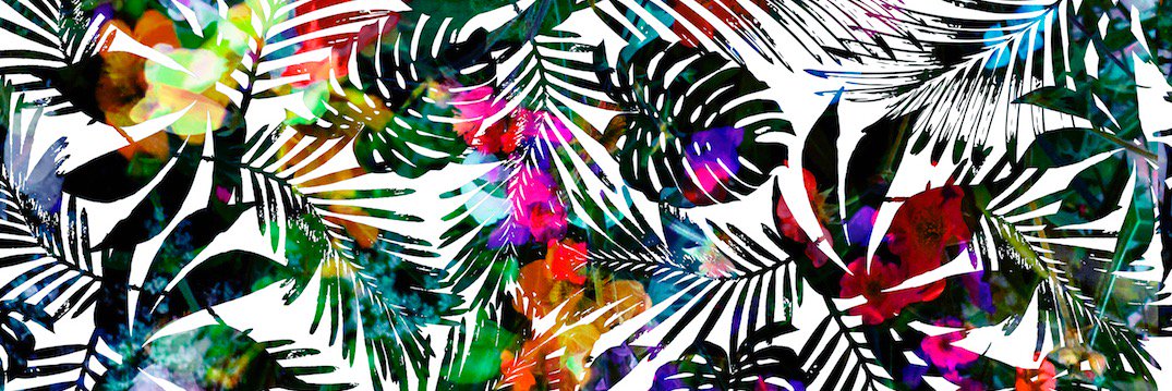 Charlotte Frances banner