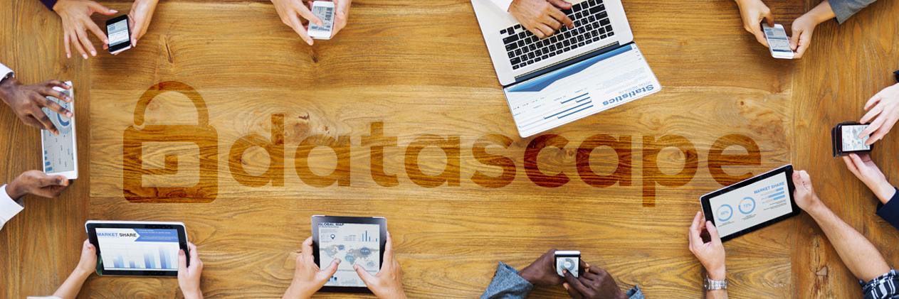 Datascape banner