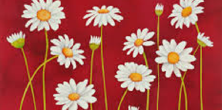 Bimbapm's profile banner image