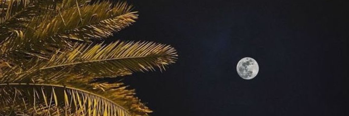 سُكـر❣️ banner