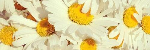 AdelaRoblesMart's profile banner image
