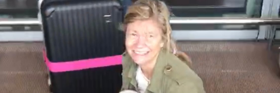 Virginia Mouseler banner