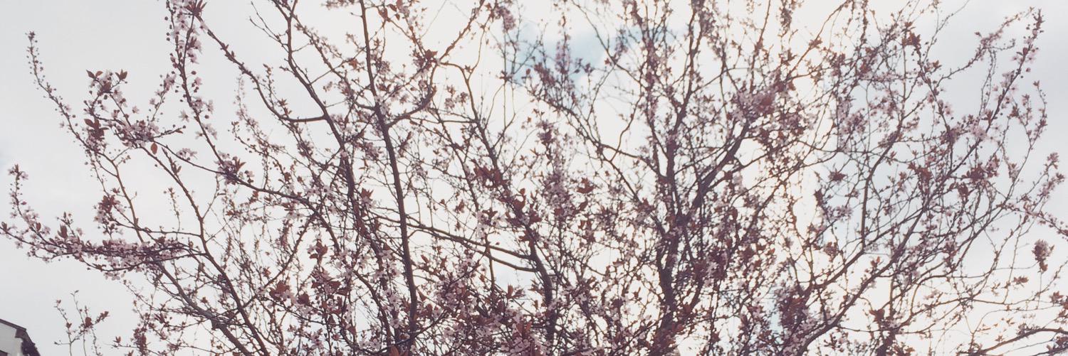 KikiTheKooky's profile banner image