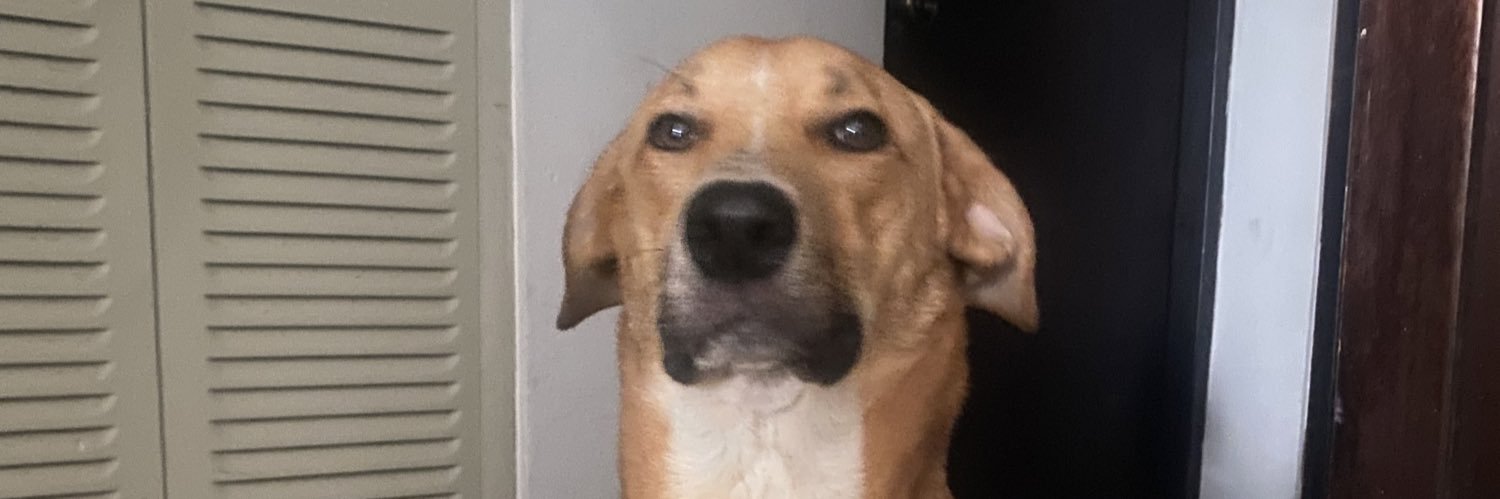 CarloRodriguezz's profile banner image