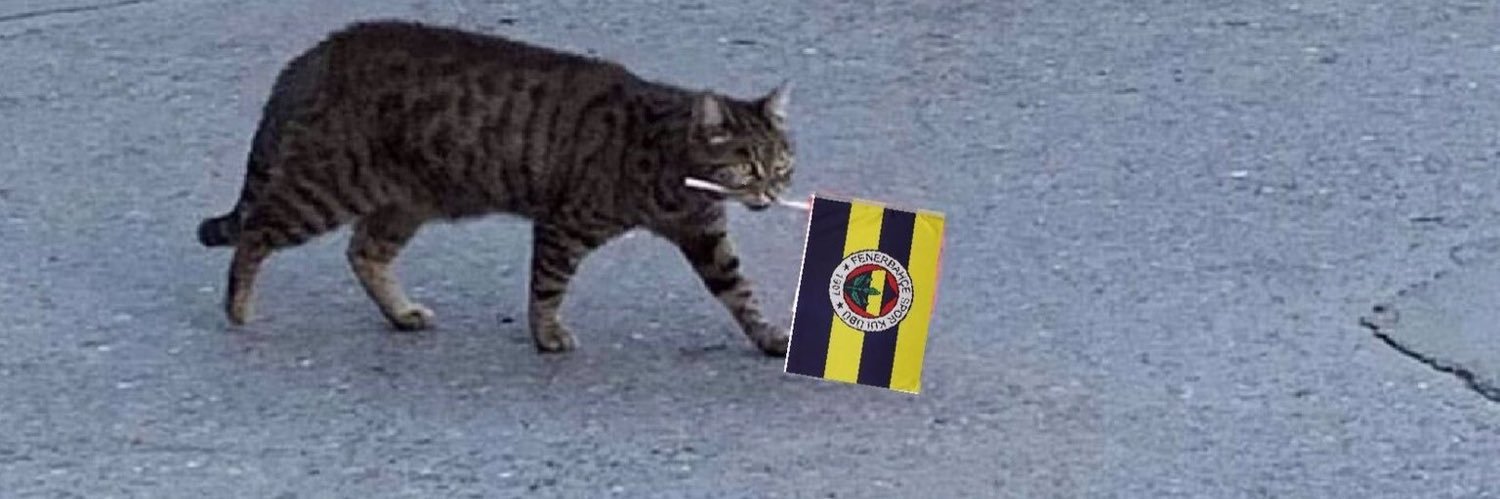 Maliuner's profile banner image