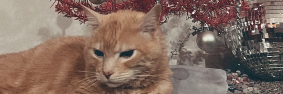 Erin_Classen's profile banner image