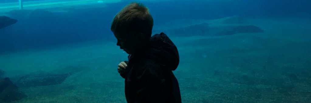 cefarrelly's profile banner image