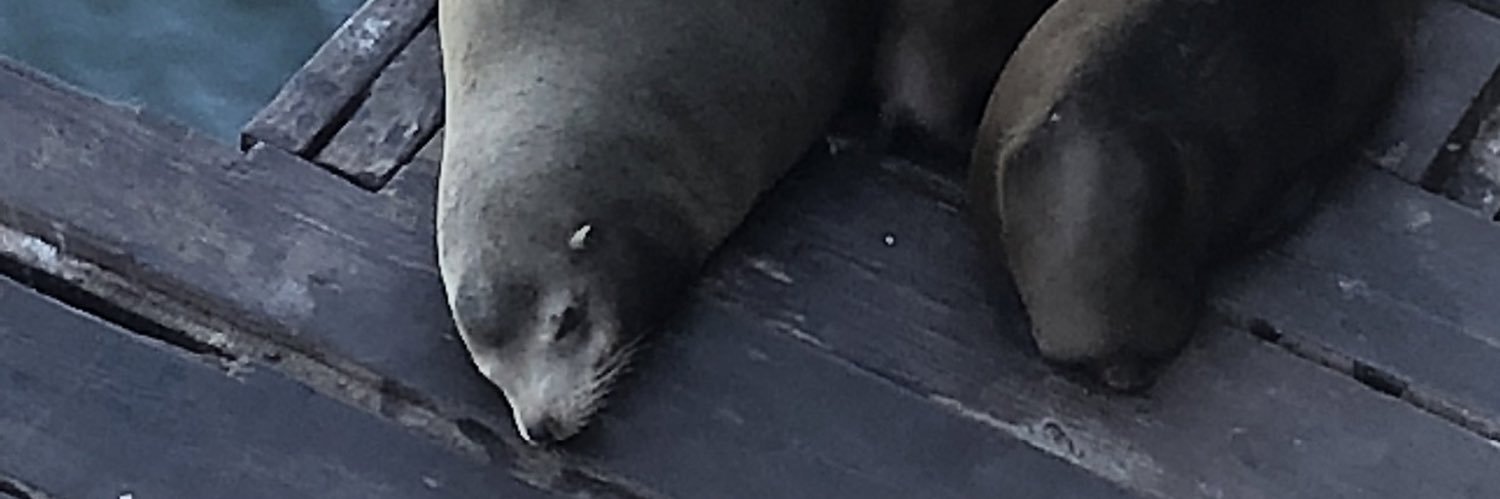 Piecesofsystem's profile banner image