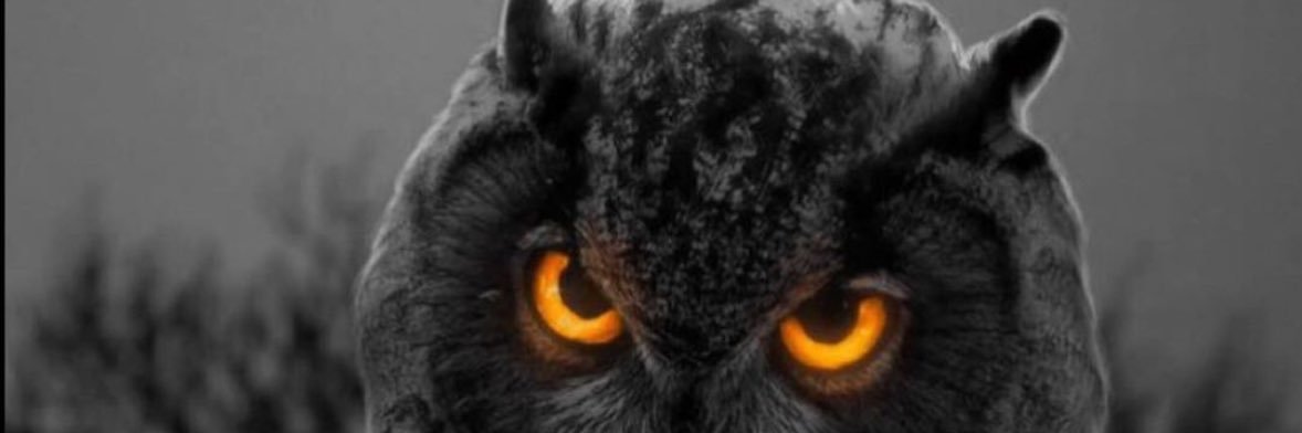 Le_Player92's profile banner image