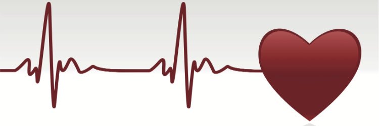 ZaynahChomas's profile banner image