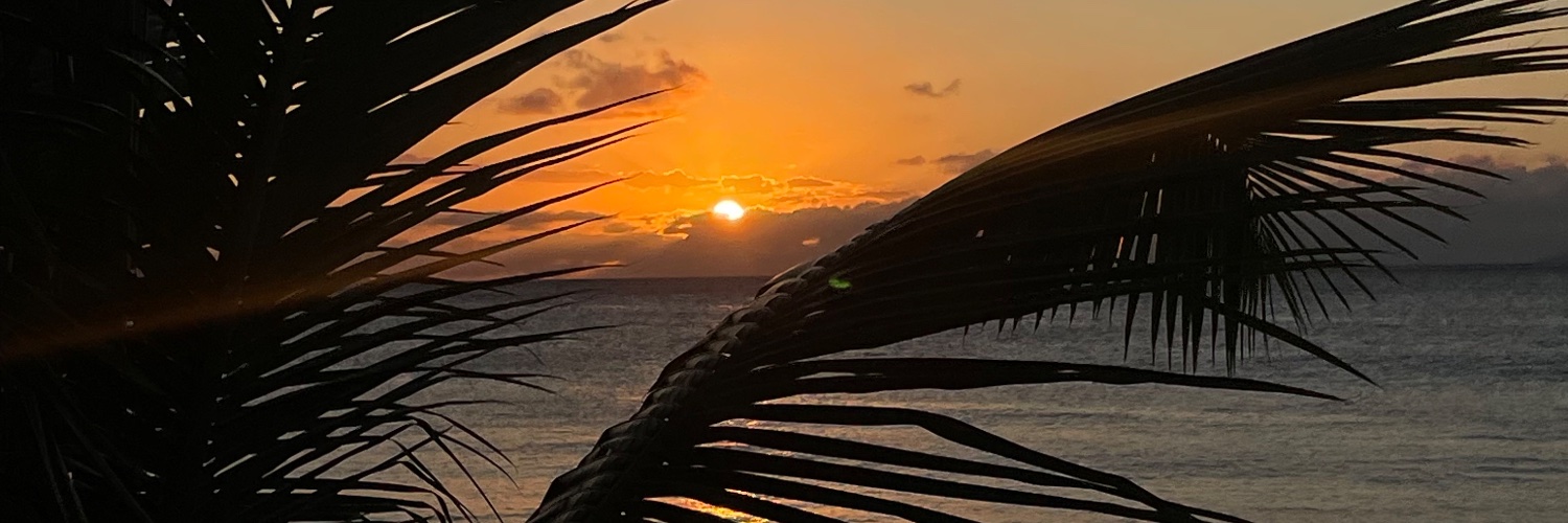 _FMSV's profile banner image