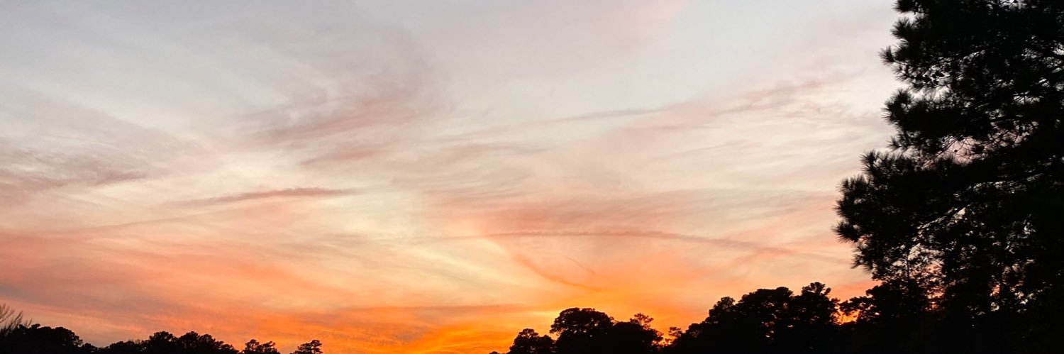ryanmcke0wn's profile banner image