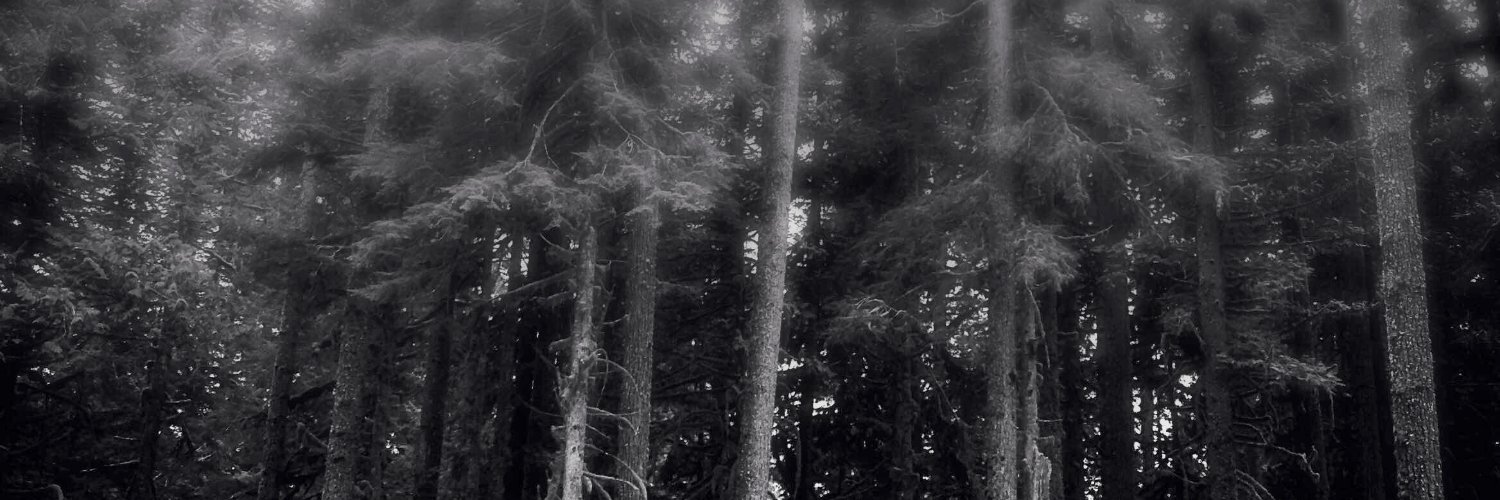 G.G. Silverman banner
