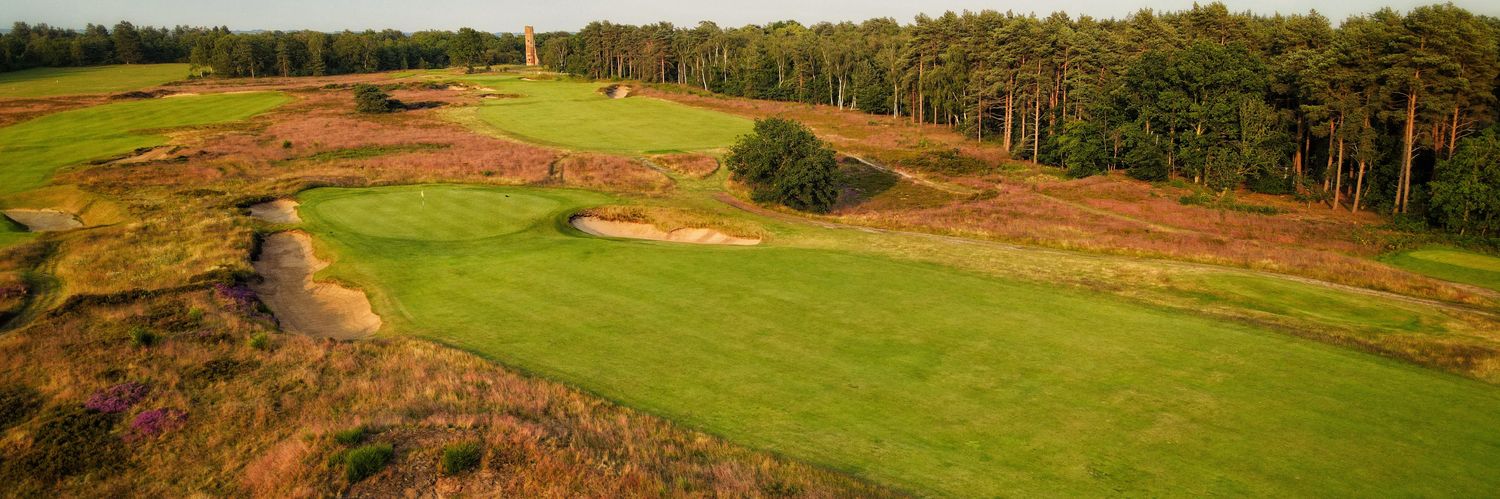 Daniel McEvoy banner