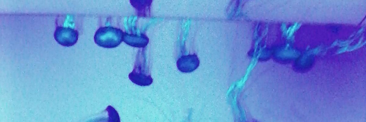 daniflorez95's profile banner image
