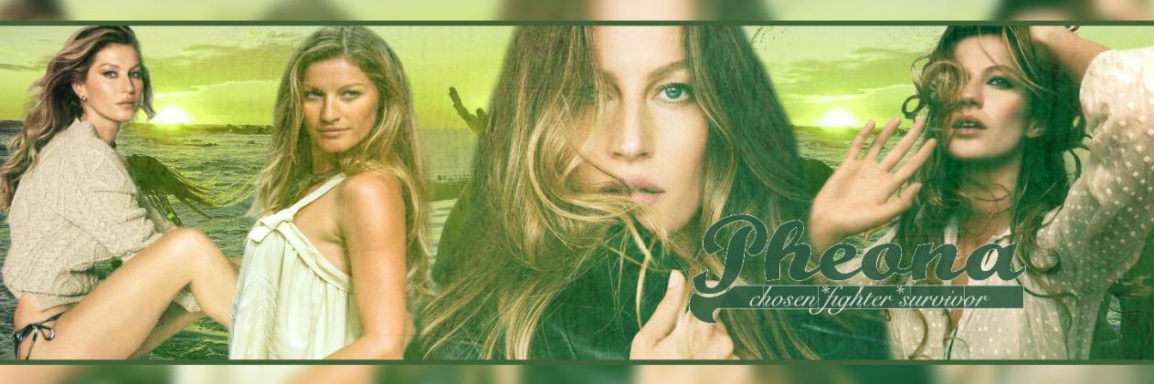 Phe ~fakelife~ banner