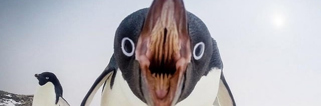 RandOrdway's profile banner image