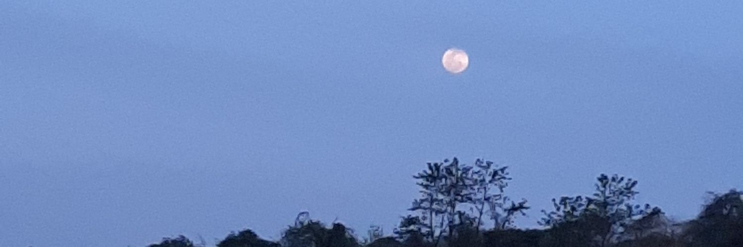 Quela41's profile banner image