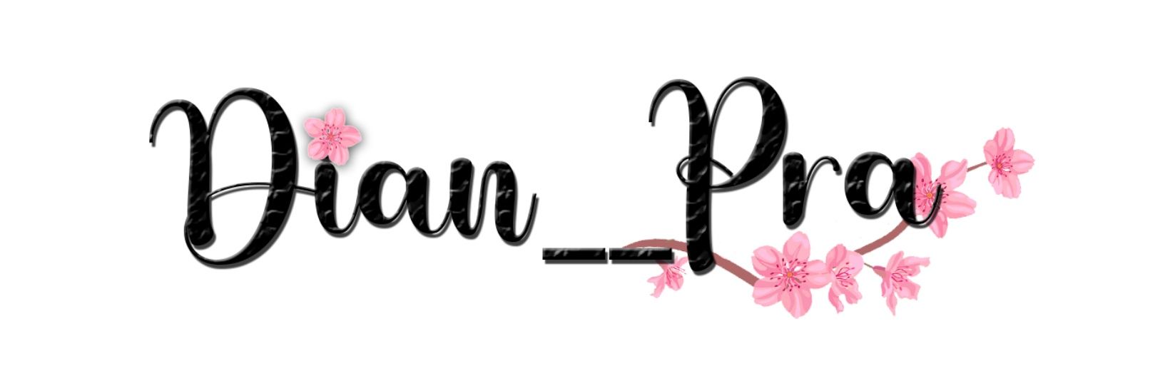 dian__pra's profile banner image