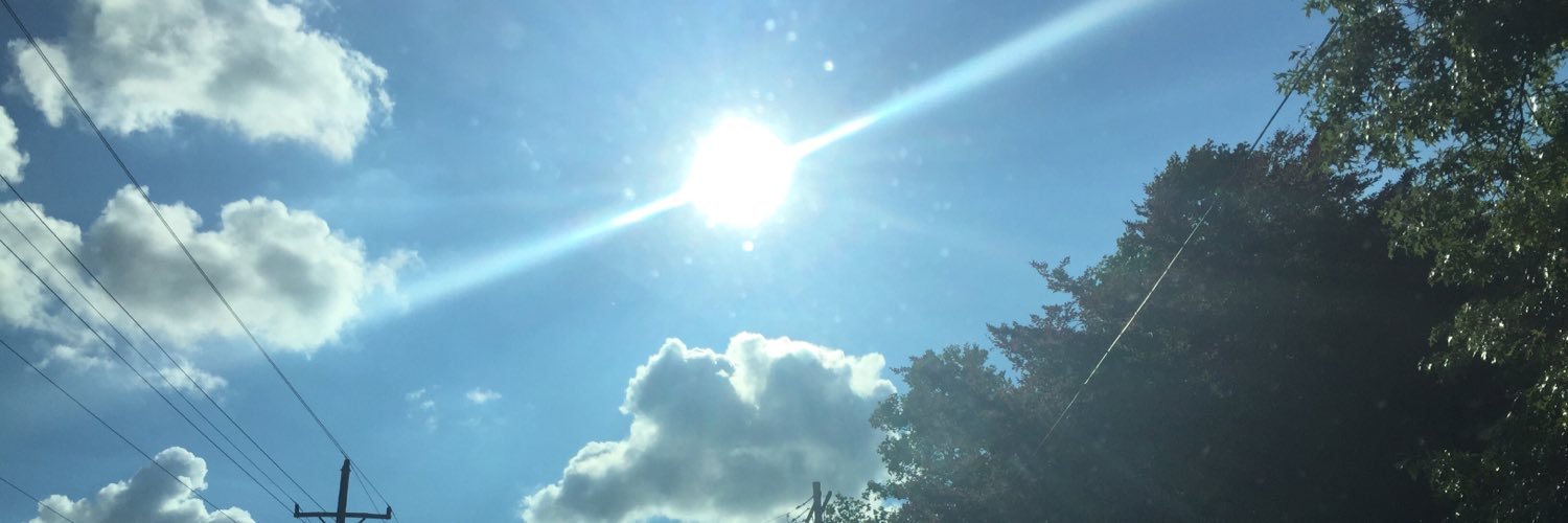 Anita Misra-Hebert banner