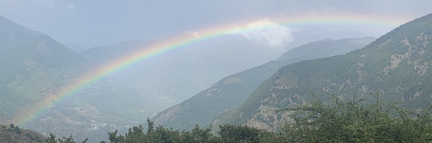 cayutems's profile banner image