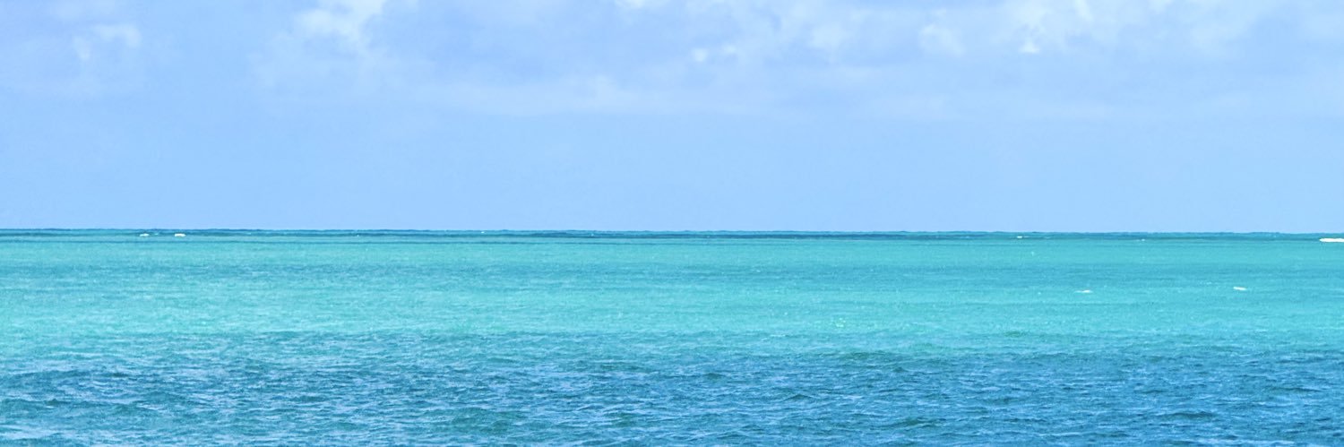 Johanvitor's profile banner image