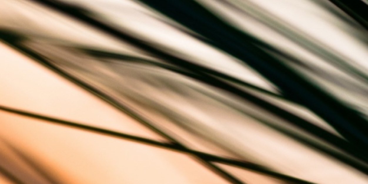 Grnasi's profile banner image