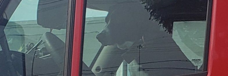 TurnerJordan14's profile banner image