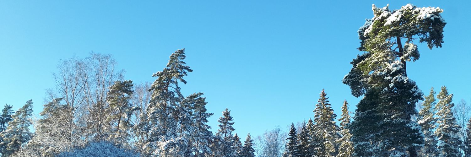 OCSlash's profile banner image