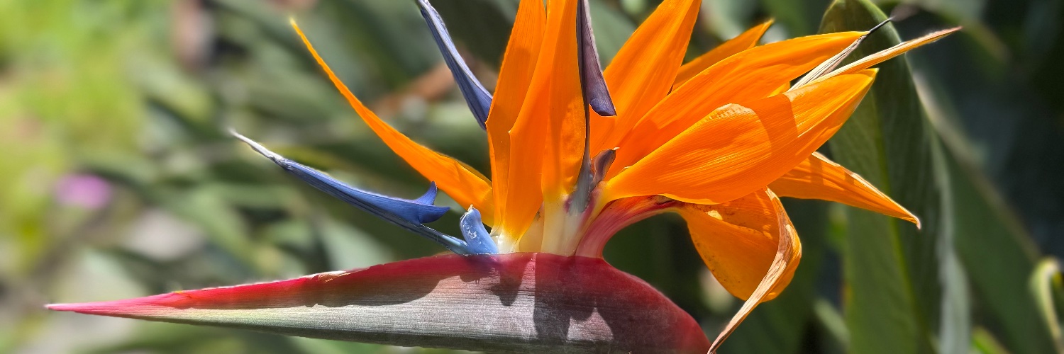 documer's profile banner image