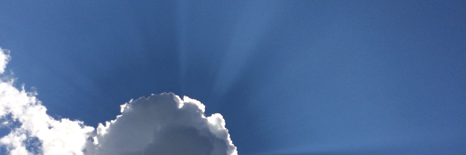 MatildaPaulsen's profile banner image