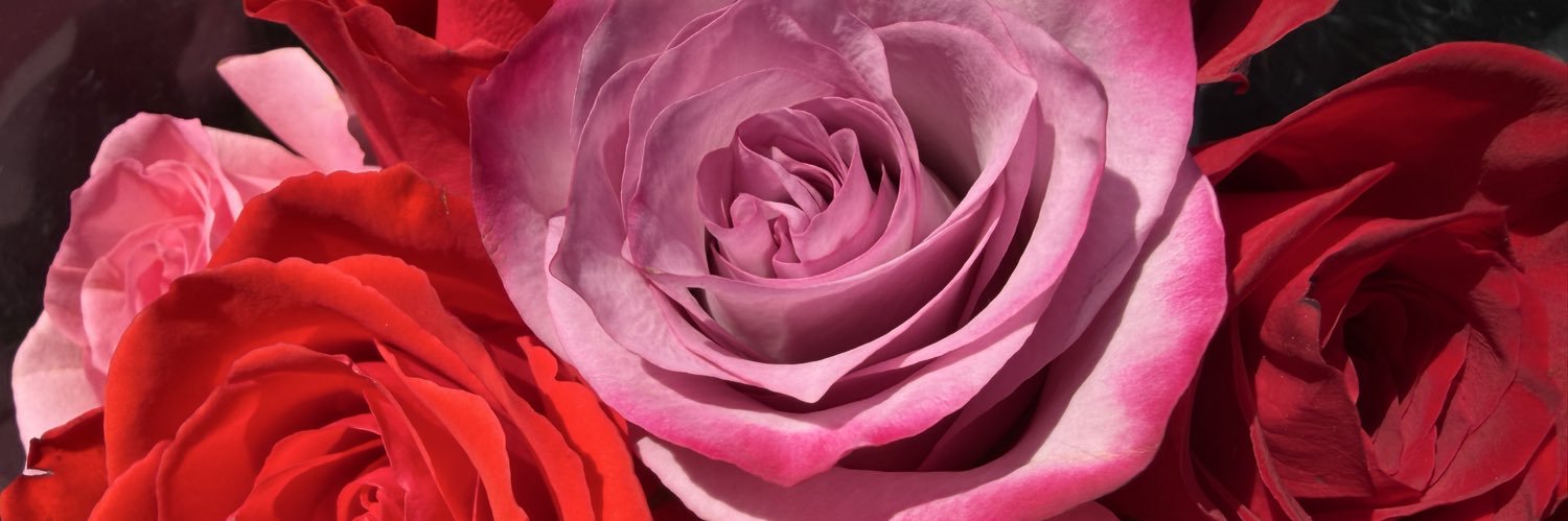 CalvilloCrystal's profile banner image
