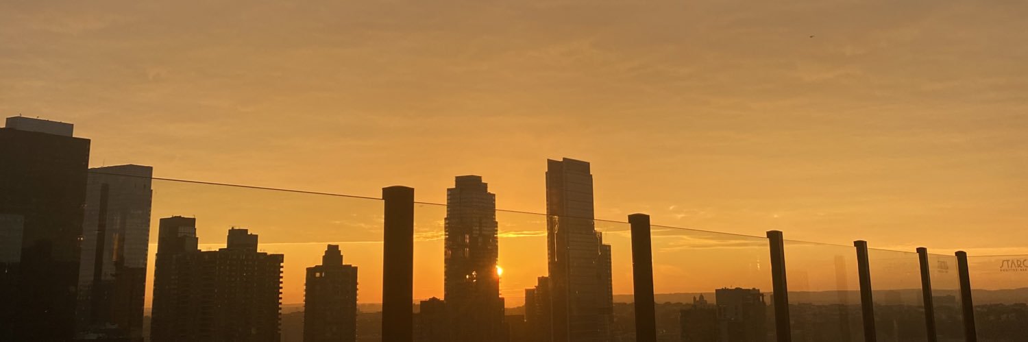AirPorcelli's profile banner image