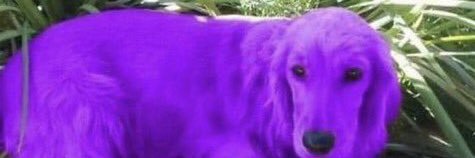 addaammmmmmm's profile banner image
