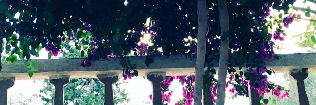Wdeb8's profile banner image