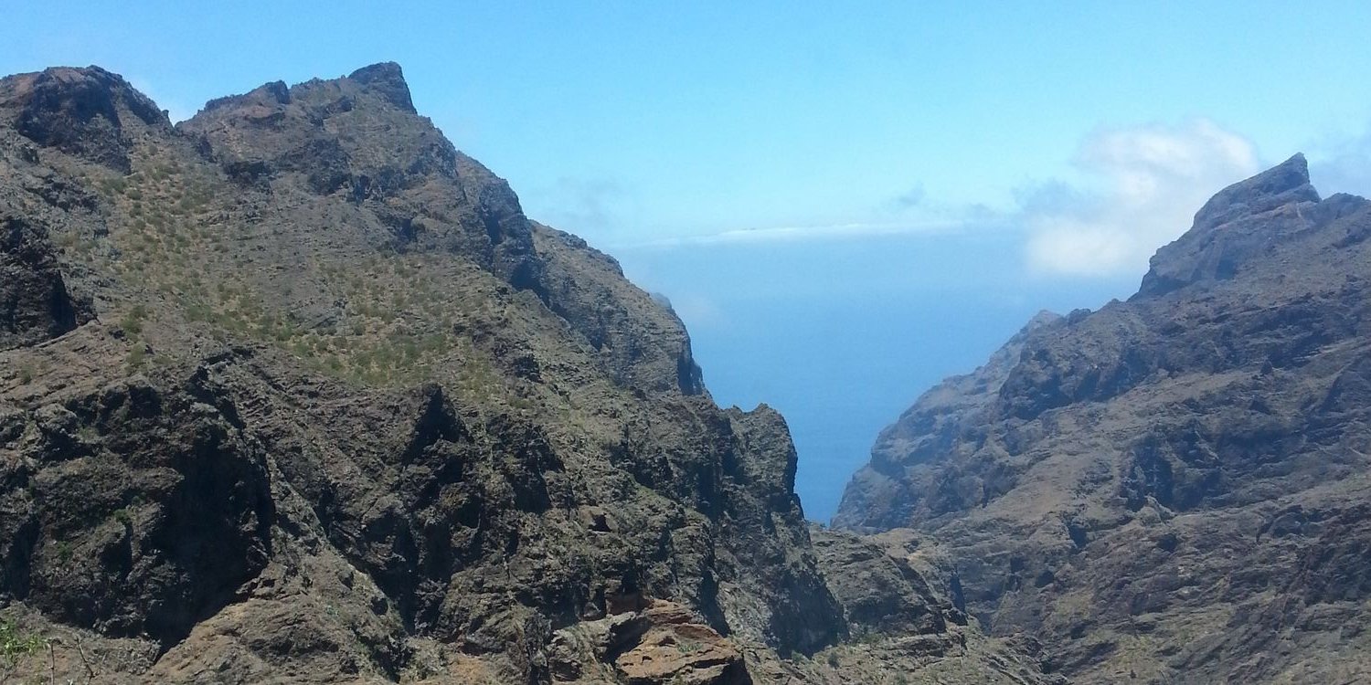 Ellen 🌴🍷☀️⛱ banner