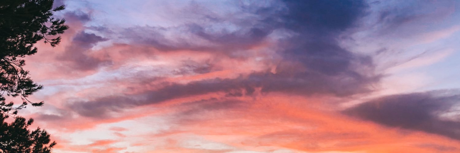 Tara Margulies banner
