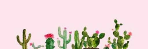 es_breen's profile banner image
