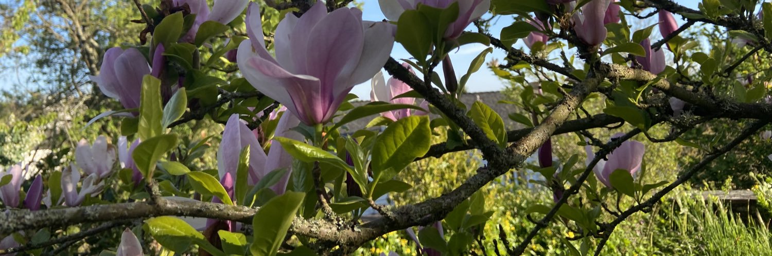 Millán Fernández banner