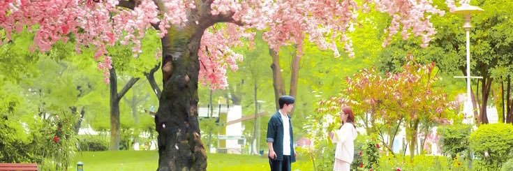ozingana's profile banner image