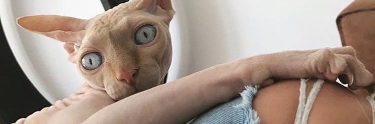 𝕮𝖑𝖆𝖎𝖗𝖊 𝖔𝖇𝖘𝖈𝖚𝖗𝖊 banner