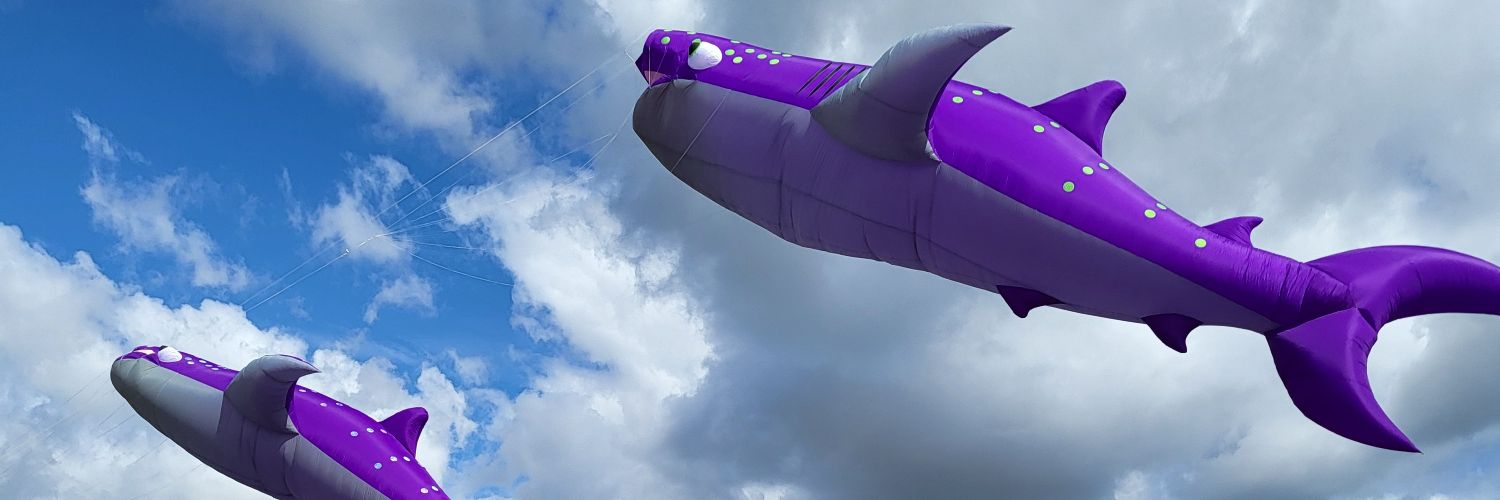 MichaelFink24's profile banner image